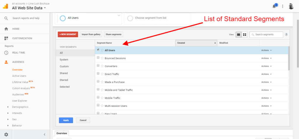 google analytics custom segments standard